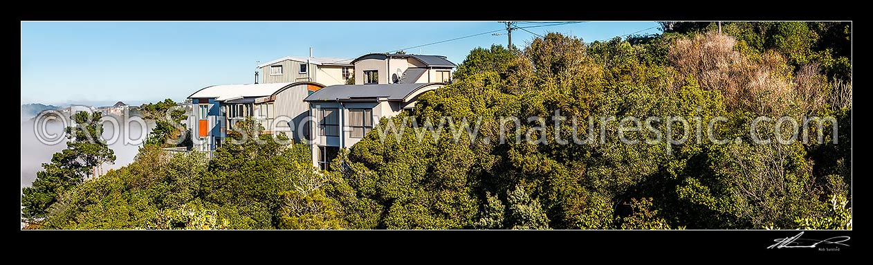 Image of Houses built amongst native forest, bush and trees, in Wellington suburb. Panorama, Wellington City District, Wellington Region, New Zealand (NZ) stock photo image