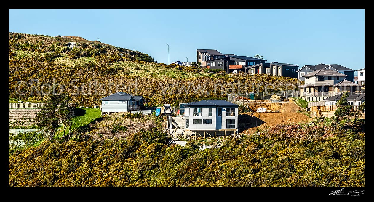 Image of New housing suburb development on old farmland. New homes under construction. Panorama, Wellington City District, Wellington Region, New Zealand (NZ) stock photo image