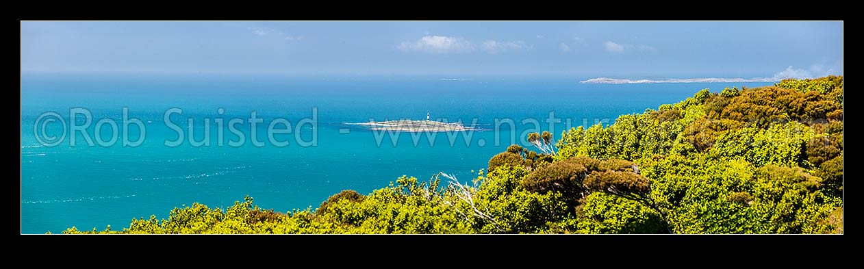 Image of Dog Island and Dog Island Lighthouse, in Foveaux Strait, seen from Bluff Hill. Ruapuke Island top right. Panorama view, Bluff, Invercargill District, Southland Region, New Zealand (NZ) stock photo image