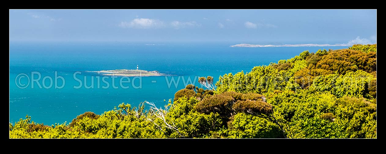 Image of Dog Island and Dog Island Lighthouse, in Foveaux Strait, seen from Bluff Hill. Ruapuke Island top right. Panorama view, Bluff, Invercargill District, Southland Region, New Zealand (NZ) stock photo image