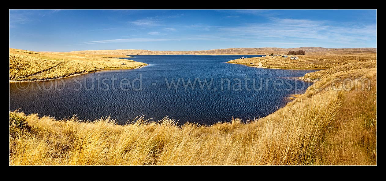 Image of Lake Onslow, with cribs at Teviot River outlet. Formed in 1890 by damming of Teviot River and Dismal Swamp. 700m ASL in barren tussock grassland landscape. Panorama, Roxburgh, Central Otago District, Otago Region, New Zealand (NZ) stock photo image