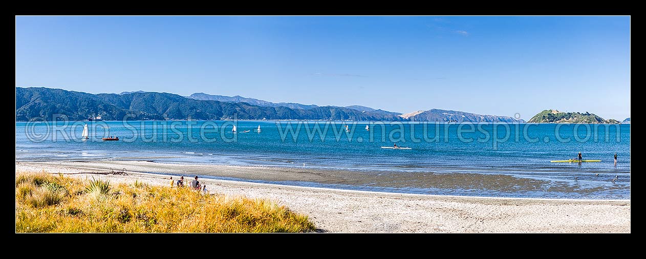 Image of Petone Beach rowing and sailing practice. Eastern Bays (left), Matiu Somes Island and Wellington Harbour behind. Panorama, Petone, Hutt City District, Wellington Region, New Zealand (NZ) stock photo image