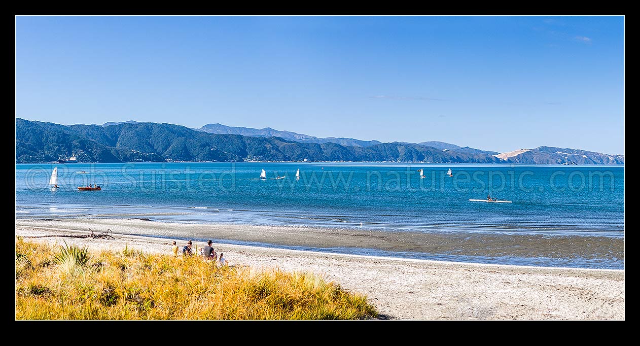 Image of Petone Beach rowing and sailing practice. Eastern Bays (left) and Wellington Harbour behind. Panorama, Petone, Hutt City District, Wellington Region, New Zealand (NZ) stock photo image