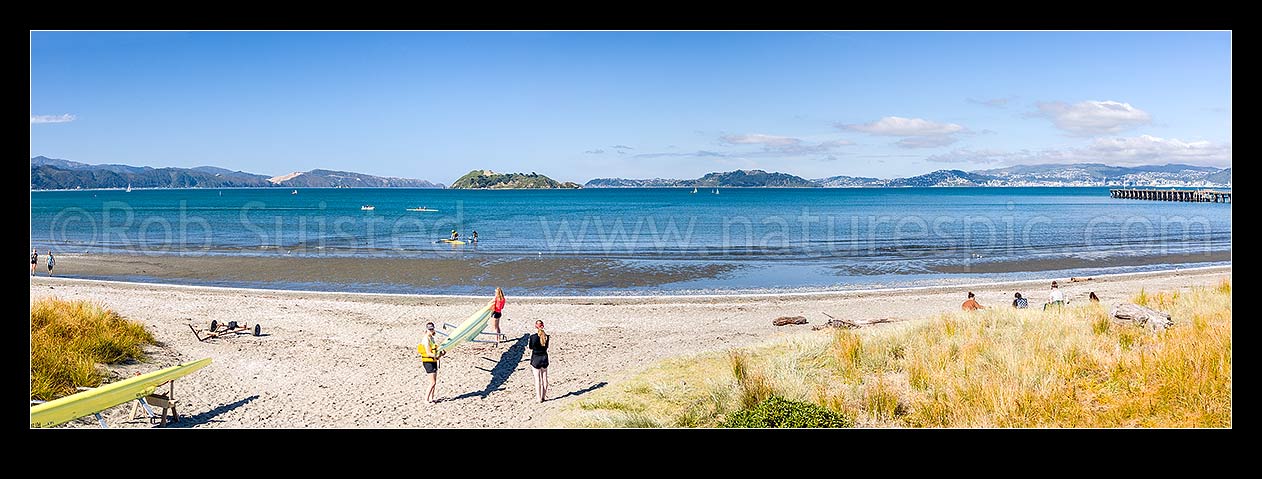 Image of Petone Beach rowing, with people carrrying their boat ashore after practice. Matiu Somes Island and Wellington Harbour behind. Panorama, Petone, Hutt City District, Wellington Region, New Zealand (NZ) stock photo image