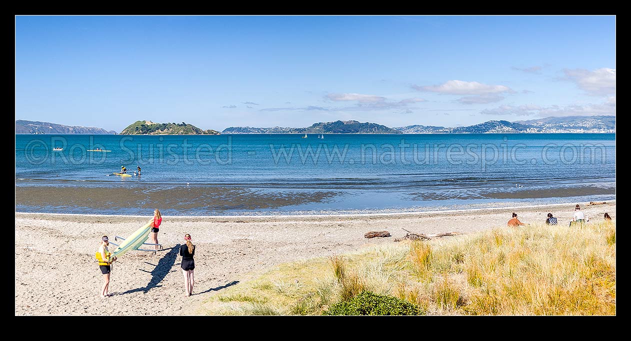 Image of Petone Beach rowing, with people carrrying their boat ashore after practice. Matiu Somes Island and Wellington Harbour behind. Panorama, Petone, Hutt City District, Wellington Region, New Zealand (NZ) stock photo image