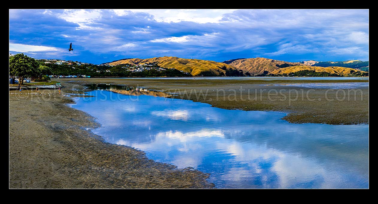 Image of Pauatahanui Inlet arm of Porirua Harbour, with evening light on the northern hills reflecting in the calm low tide water. Seen from Ivey Bay. Panorama, Paremata, Porirua City District, Wellington Region, New Zealand (NZ) stock photo image