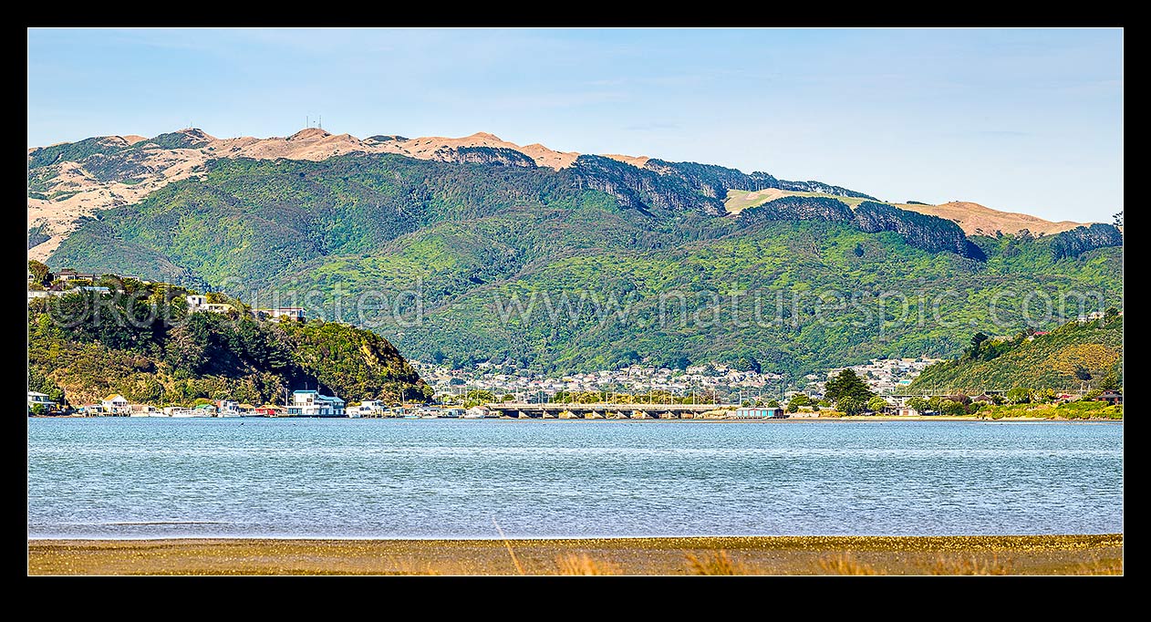 Image of Pauatahanui inlet of Porirua Harbour, seen from Grays Road. Looking to Paremata bridge, with Porirua City, Colonial Knob and Elsdon Bush behind. Panorama, Paremata, Porirua City District, Wellington Region, New Zealand (NZ) stock photo image