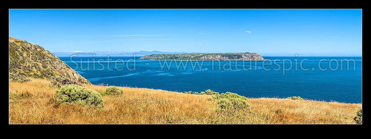 Image of Mana Island, with Cook Strait and South Island visible behind. Seen from Whitireia Mount Cooper at Titahi Bay. Panorama, Mana Island, Porirua City District, Wellington Region, New Zealand (NZ) stock photo image