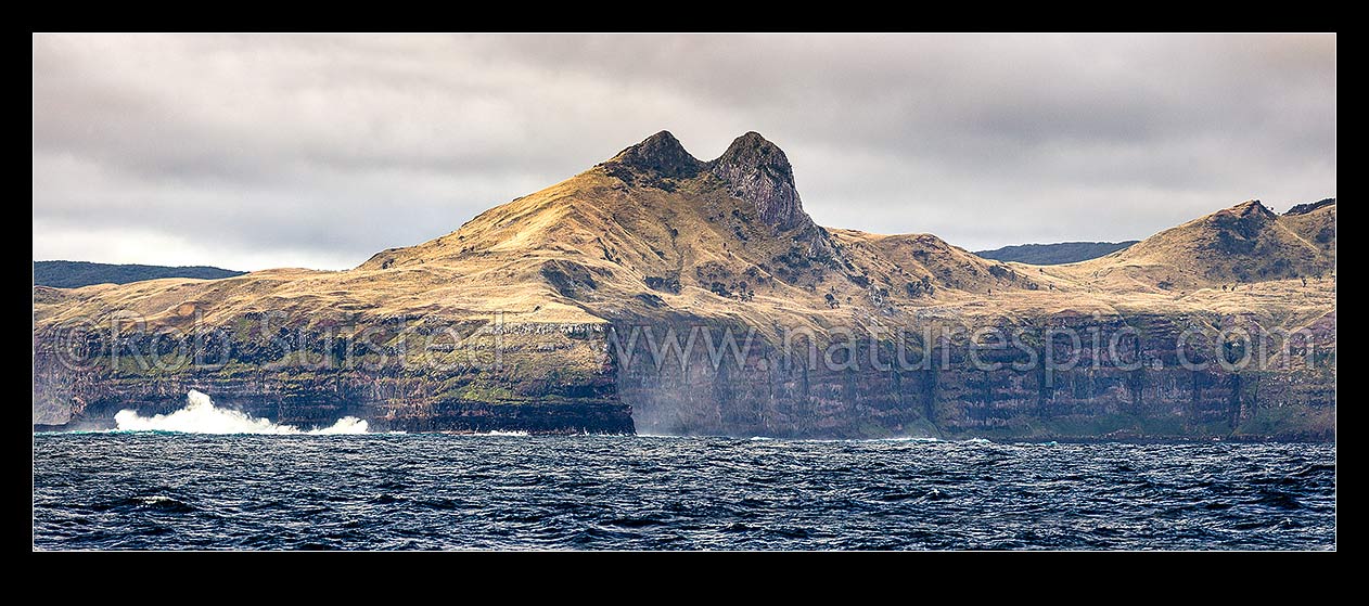 Image of The Horns, Te Whakahewa, prominent diorite columns prominent at Cape L'Eveque at southern end of Chatham Island, and 100m high seacliffs pounded by sea. Panorama, Chatham Islands Rekohu, Chatham Islands District, Chatham Islands Region, New Zealand (NZ) stock photo image