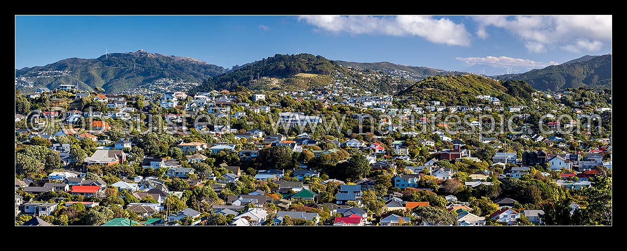 Image of Khandallah suburb, looking over houses in the green leafy northern suburb of Wellington. Panorama, Kaiwharawhara, Wellington City District, Wellington Region, New Zealand (NZ) stock photo image