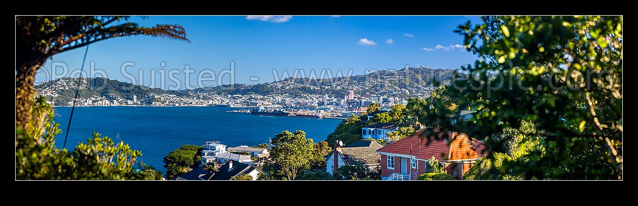 Image of Wellington City, Harbour and Port seen from Khandallah suburb amongst houses and native forest in late afternoon sun. Panorama, Khandallah, Wellington City District, Wellington Region, New Zealand (NZ) stock photo image