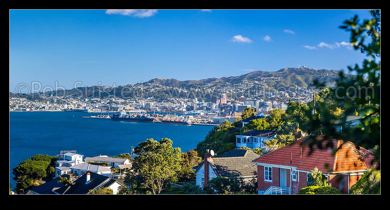 Image of Wellington City, Harbour and Port seen from Khandallah suburb amongst houses and native forest in late afternoon sun. Panorama, Khandallah, Wellington City District, Wellington Region, New Zealand (NZ) stock photo image