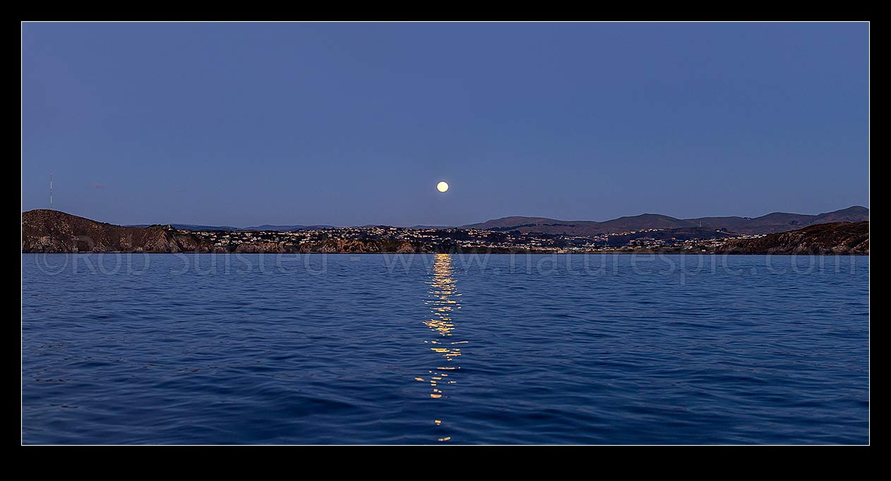 Image of Full moon rising over Titahi Bay and a calm sea at twilight. Panorama, Titahi Bay, Porirua City District, Wellington Region, New Zealand (NZ) stock photo image