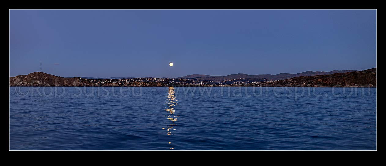 Image of Full moon rising over Titahi Bay and a calm sea at twilight. Panorama, Titahi Bay, Porirua City District, Wellington Region, New Zealand (NZ) stock photo image