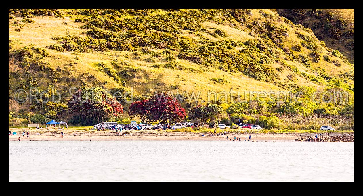 Image of Onehunga Bay summer day in Whitireia Park with people enjoying the coastal park near the entrance to Te Awarua-o-Porirua Harbour. Panorama, Titahi Bay, Porirua City District, Wellington Region, New Zealand (NZ) stock photo image