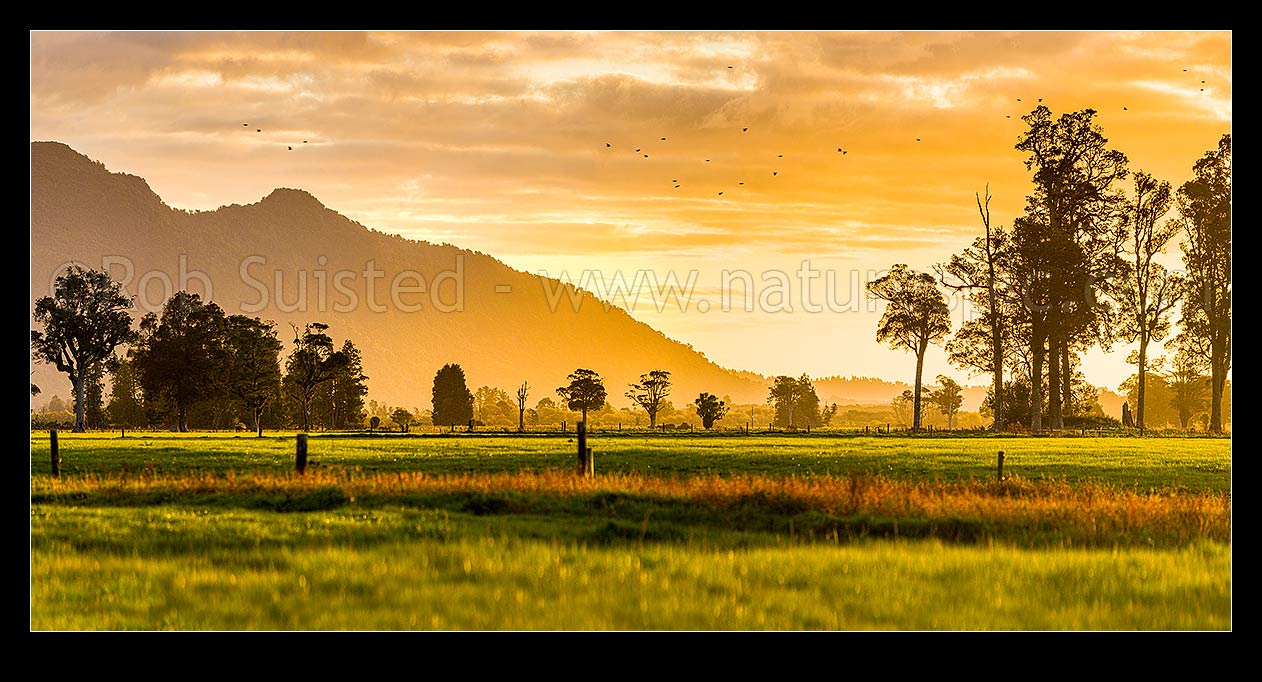 Image of Rural sunset across the Hokitika River plains near Kokatahi River. Mt Camelback (569m) behind. Lush dairy farmland. Panorama, Kokatahi, Westland District, West Coast Region, New Zealand (NZ) stock photo image