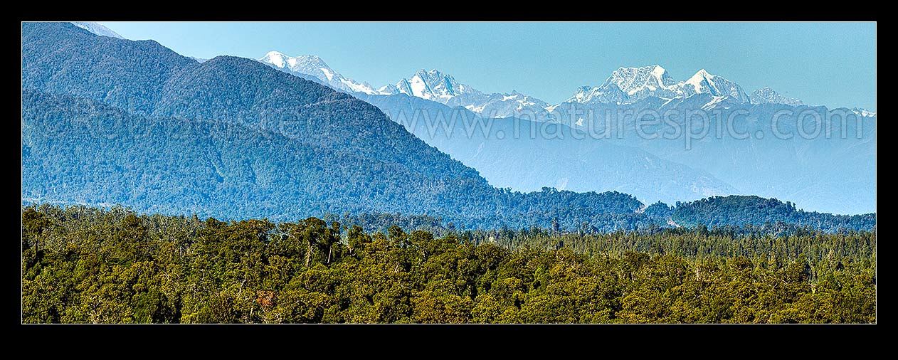 Image of Aoraki Mt Cook (3754m) and Mt Tasman (3497m) centre right and Southern Alps Main Divide towering over Westland. Elie De Beaumont (3109m) and Minarets (3040m) at left. Panorama, Ross, Westland District, West Coast Region, New Zealand (NZ) stock photo image