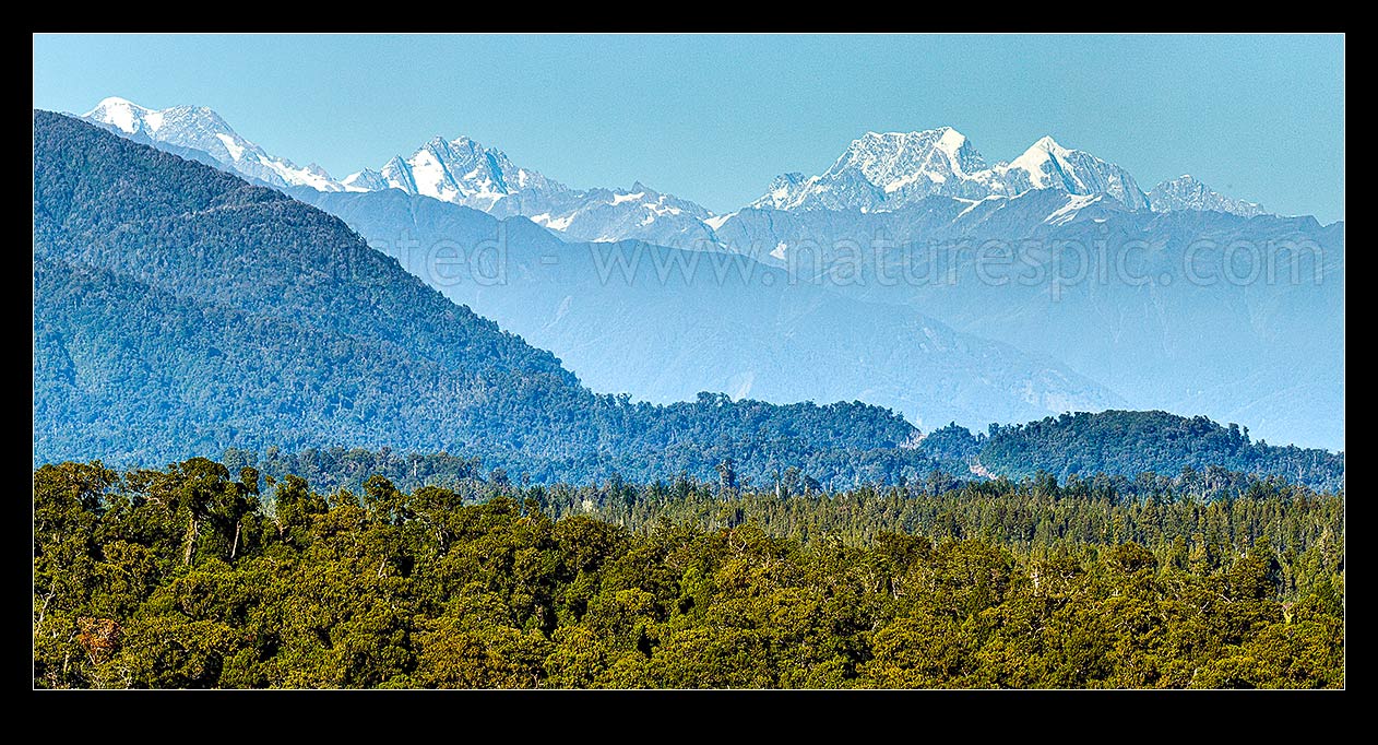 Image of Elie De Beaumont (3109m) and Minarets (3040m) left of Aoraki Mt Cook (3754m) and Mt Tasman (3497m) at right, in the Southern Alps Main Divide towering over Westland. Elie De Beaumont (3109m) and Minarets (3040m) at left. Panorama, Ross, Westland District, West Coast Region, New Zealand (NZ) stock photo image