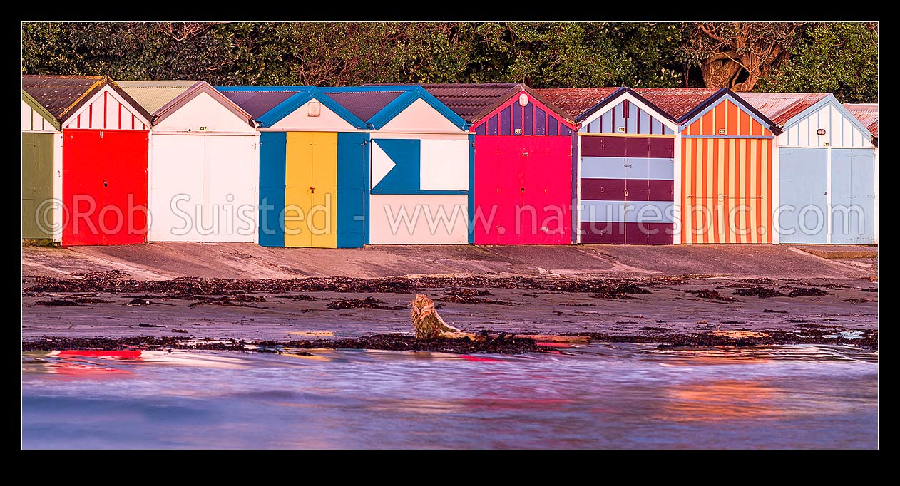 Image of Titahi Bay Beach boat sheds, a colourful brightly painted iconic feature of the bay. Panorama, Titahi Bay, Porirua City District, Wellington Region, New Zealand (NZ) stock photo image