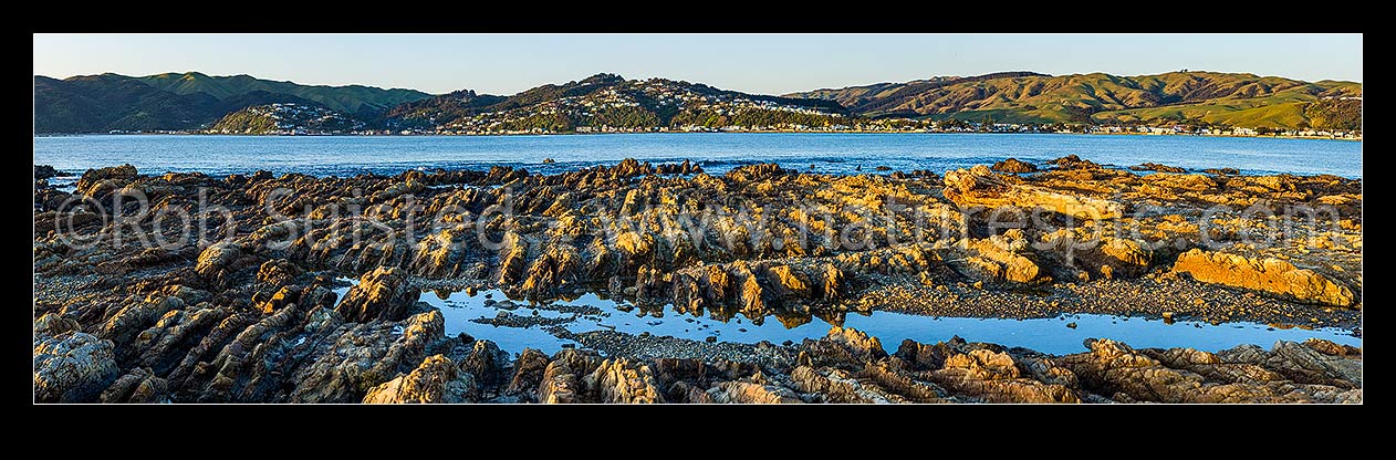 Image of Porirua Harbour entrance and Plimmerton seen from Onehunga Bay Whitireia Park. Rocky foreshore eroded wave platform showing tilted rock strata. Panorama, Titahi Bay, Porirua City District, Wellington Region, New Zealand (NZ) stock photo image