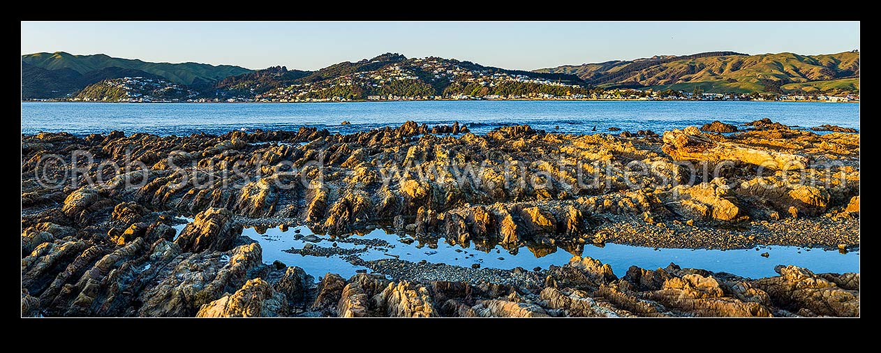 Image of Porirua Harbour entrance and Plimmerton seen from Onehunga Bay Whitireia Park. Rocky foreshore eroded wave platform showing tilted rock strata. Panorama, Titahi Bay, Porirua City District, Wellington Region, New Zealand (NZ) stock photo image