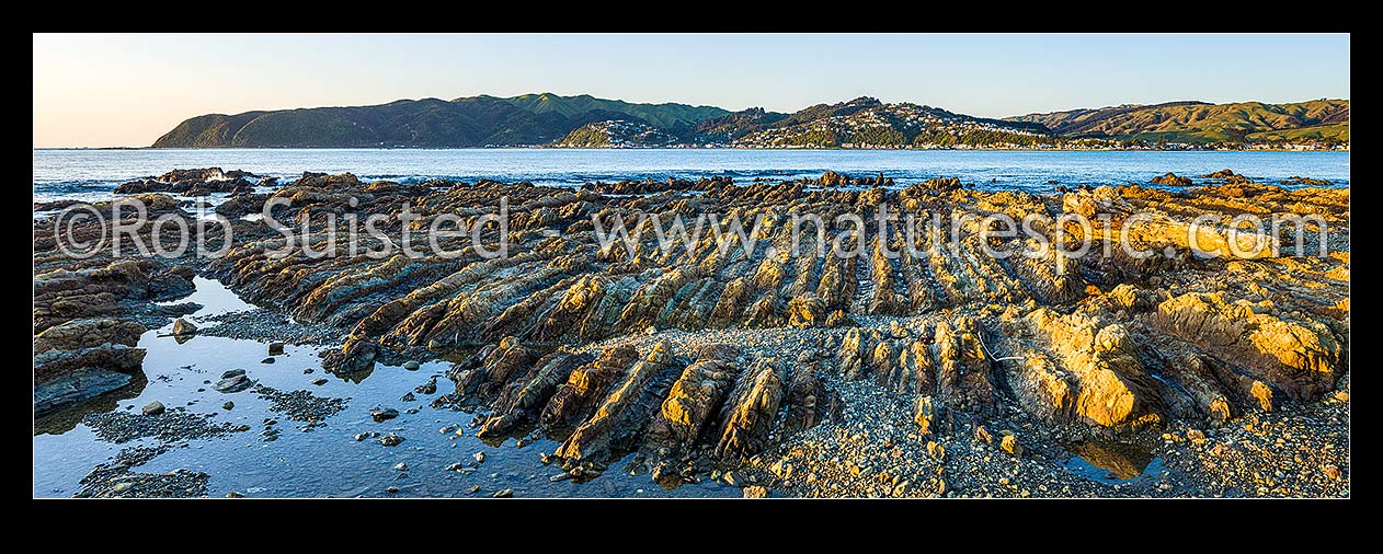 Image of Porirua Harbour entrance and Plimmerton seen from Onehunga Bay Whitireia Park. Rocky foreshore eroded wave platform showing tilted rock strata. Panorama, Titahi Bay, Porirua City District, Wellington Region, New Zealand (NZ) stock photo image