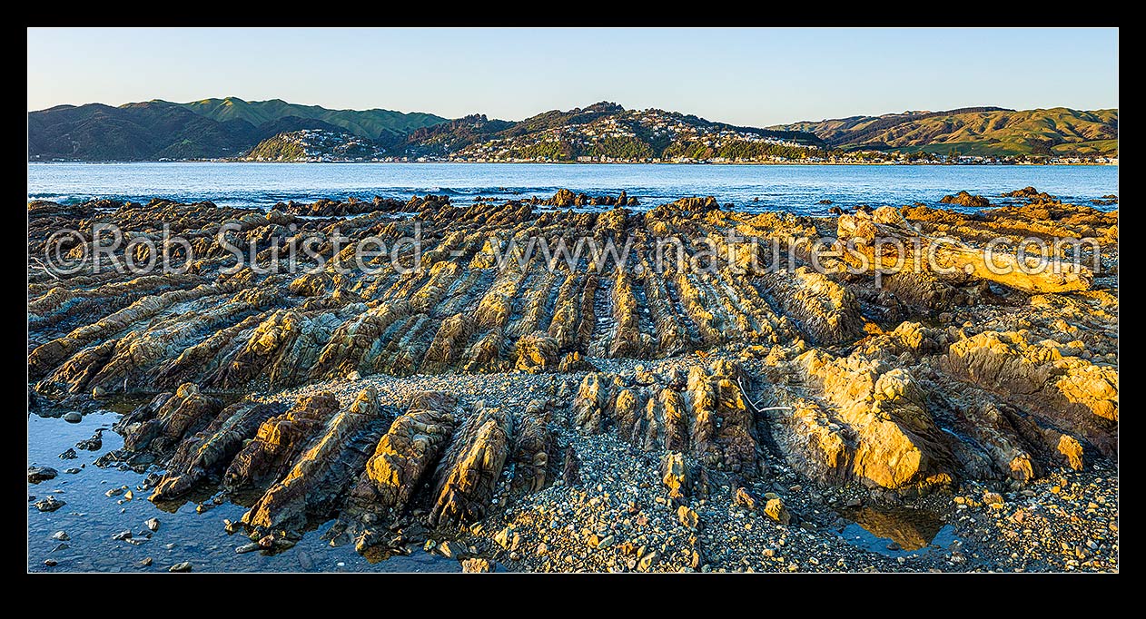 Image of Porirua Harbour entrance and Plimmerton seen from Onehunga Bay Whitireia Park. Rocky foreshore eroded wave platform showing tilted rock strata. Panorama, Titahi Bay, Porirua City District, Wellington Region, New Zealand (NZ) stock photo image