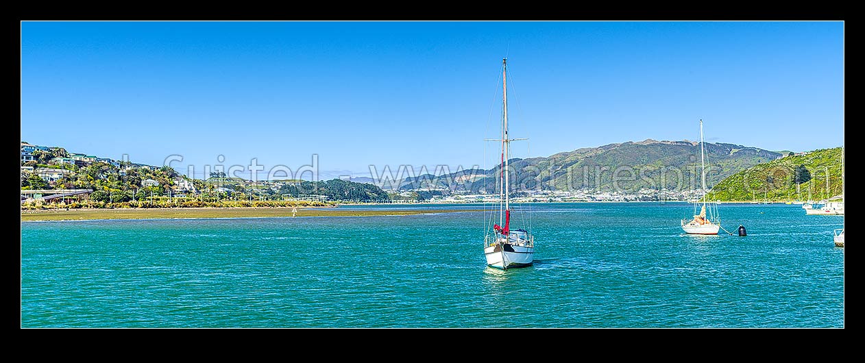 Image of Sailboats moored in Porirua Harbour at Paremata. Looking souith towards Porirua City and Rangituhi / Colonial Knob and Onepoto. Te Awarua-o-Porirua, Paremata, Porirua City District, Wellington Region, New Zealand (NZ) stock photo image