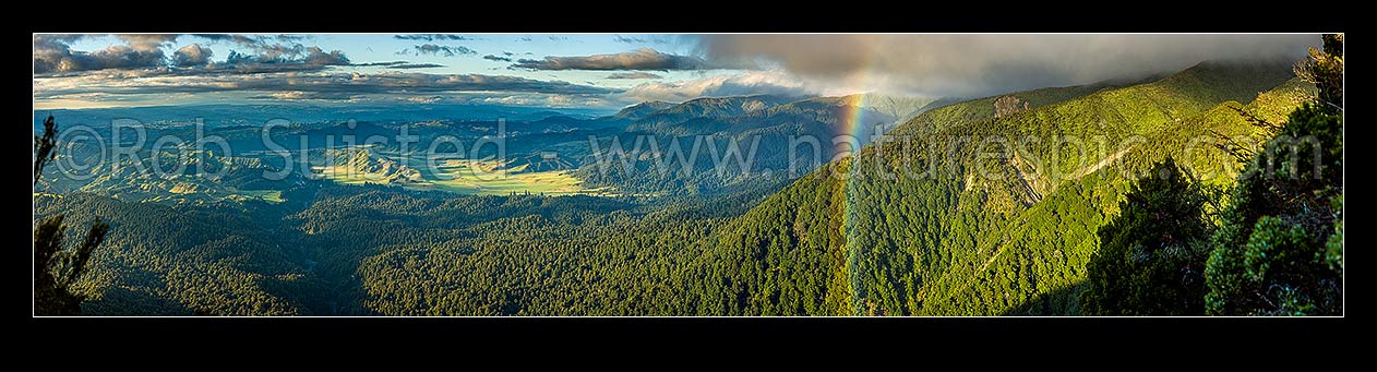 Image of Ruahine Ranges forested foothills looking over the Kawhatau River valley (left), Hikurangi Range centre and Whanahuia Range right. Rainbow and evening light panorama, Ruahine Forest Park, Manawatu District, Manawatu-Wanganui Region, New Zealand (NZ) stock photo image