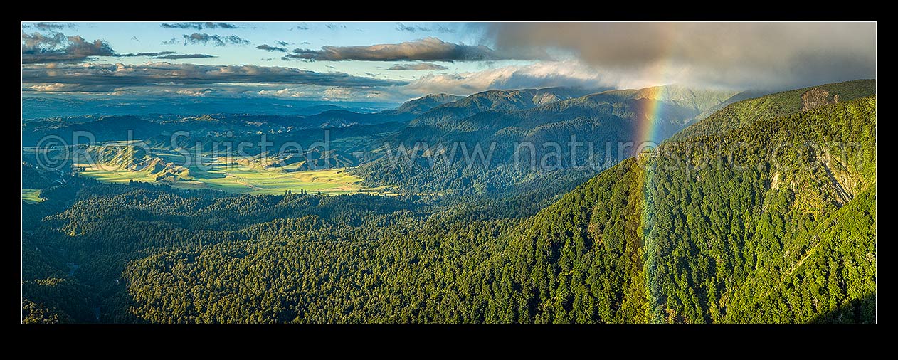 Image of Ruahine Ranges forested foothills looking over the Kawhatau River valley (left), Hikurangi Range centre and Whanahuia Range right. Rainbow and evening light panorama, Ruahine Forest Park, Manawatu District, Manawatu-Wanganui Region, New Zealand (NZ) stock photo image