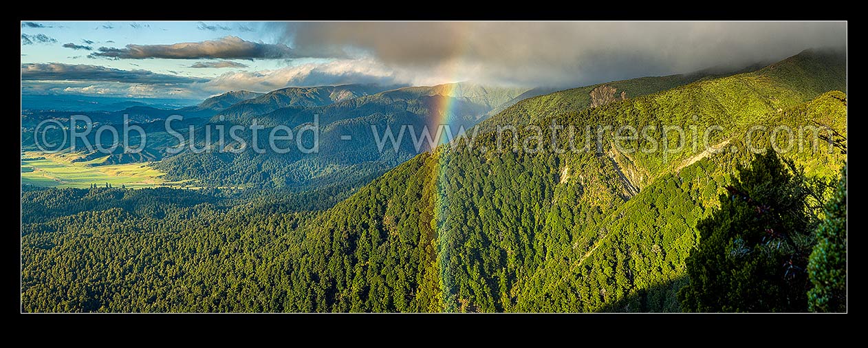 Image of Ruahine Ranges forested foothills looking over the Kawhatau River valley (far left), Hikurangi Range centre left and Whanahuia Range right. Rainbow and evening light panorama, Ruahine Forest Park, Manawatu District, Manawatu-Wanganui Region, New Zealand (NZ) stock photo image