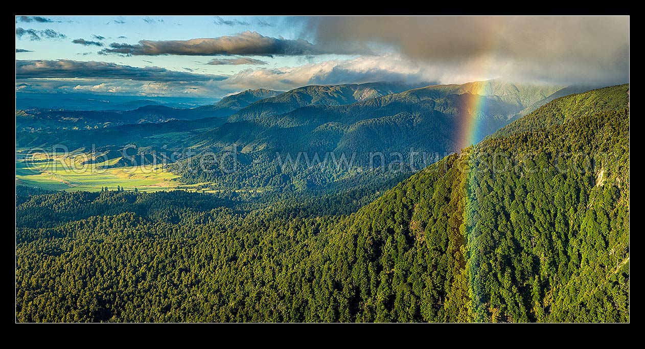 Image of Ruahine Ranges forested foothills looking over the Kawhatau River valley (left), Hikurangi Range centre and Whanahuia Range right. Rainbow in panorama, Ruahine Forest Park, Manawatu District, Manawatu-Wanganui Region, New Zealand (NZ) stock photo image