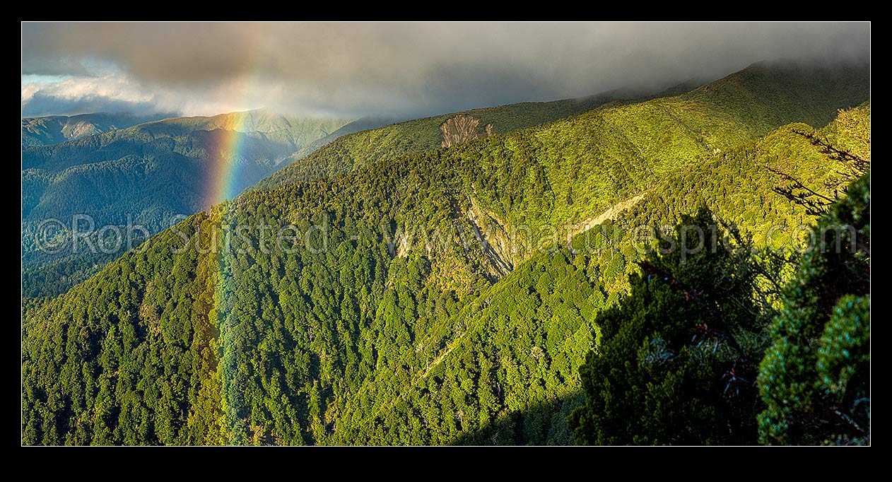 Image of Ruahine Ranges western foothills of the Whanahuia Range. Rainbow over forested slopes and erosion slips. Panorama, Ruahine Forest Park, Manawatu District, Manawatu-Wanganui Region, New Zealand (NZ) stock photo image