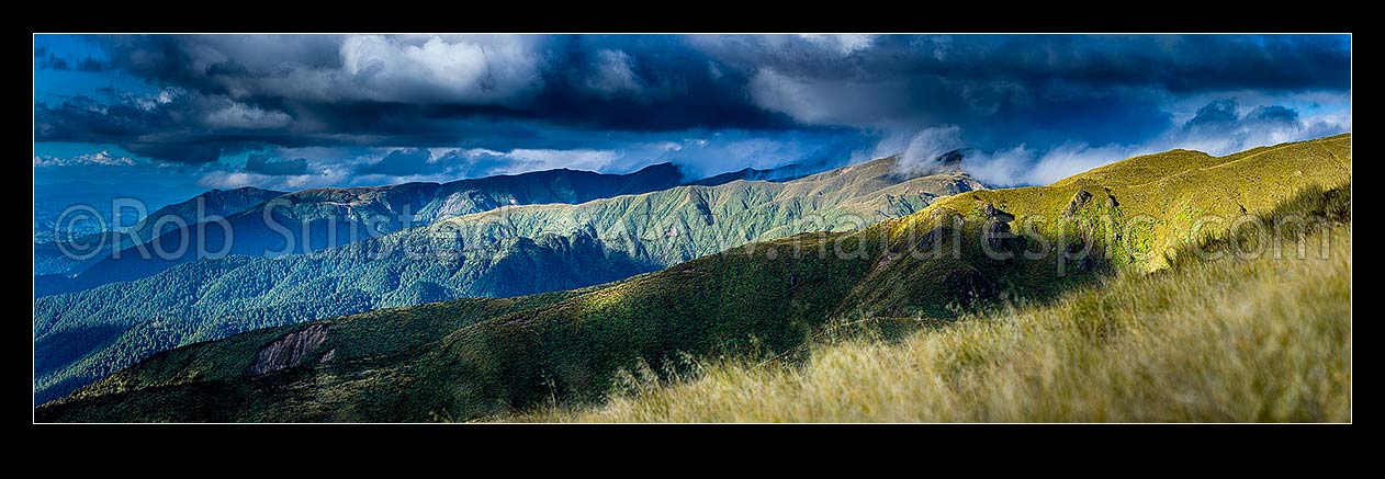 Image of Whanahuia Range ridgeline, western Ruahine Ranges, in breaking weather. Hikurangi Range beyond. Alpine tussock tops and leatherwood band. Panorama, Ruahine Forest Park, Manawatu District, Manawatu-Wanganui Region, New Zealand (NZ) stock photo image