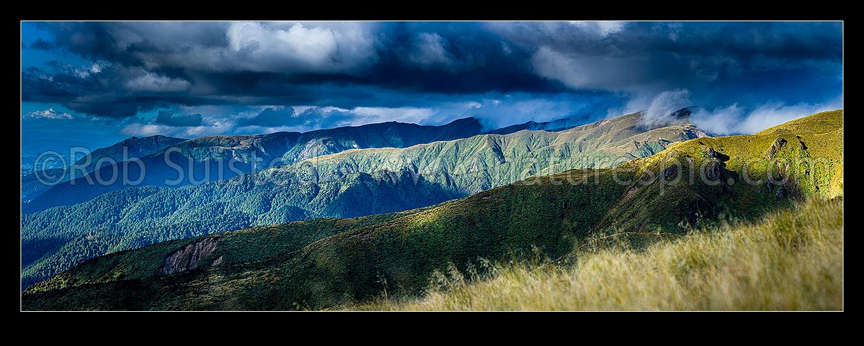 Image of Whanahuia Range ridgeline, western Ruahine Ranges, in breaking weather. Hikurangi Range beyond. Alpine tussock tops and leatherwood band. Panorama, Ruahine Forest Park, Manawatu District, Manawatu-Wanganui Region, New Zealand (NZ) stock photo image