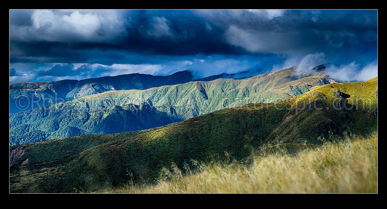 Image of Whanahuia Range ridgeline, western Ruahine Ranges, in breaking weather. Hikurangi Range beyond. Alpine tussock tops and leatherwood band. Panorama, Ruahine Forest Park, Manawatu District, Manawatu-Wanganui Region, New Zealand (NZ) stock photo image