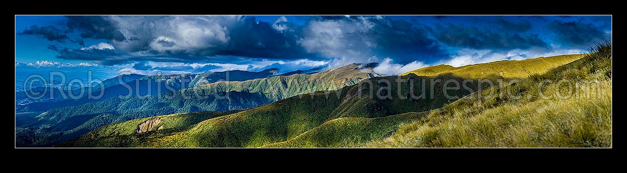 Image of Ruahine Range western ridgelines on the Whanahuia Range, in breaking weather. Hikurangi Range beyond. Alpine tussock tops and leatherwood band. Rangitikei far left. Panorama, Ruahine Forest Park, Manawatu District, Manawatu-Wanganui Region, New Zealand (NZ) stock photo image