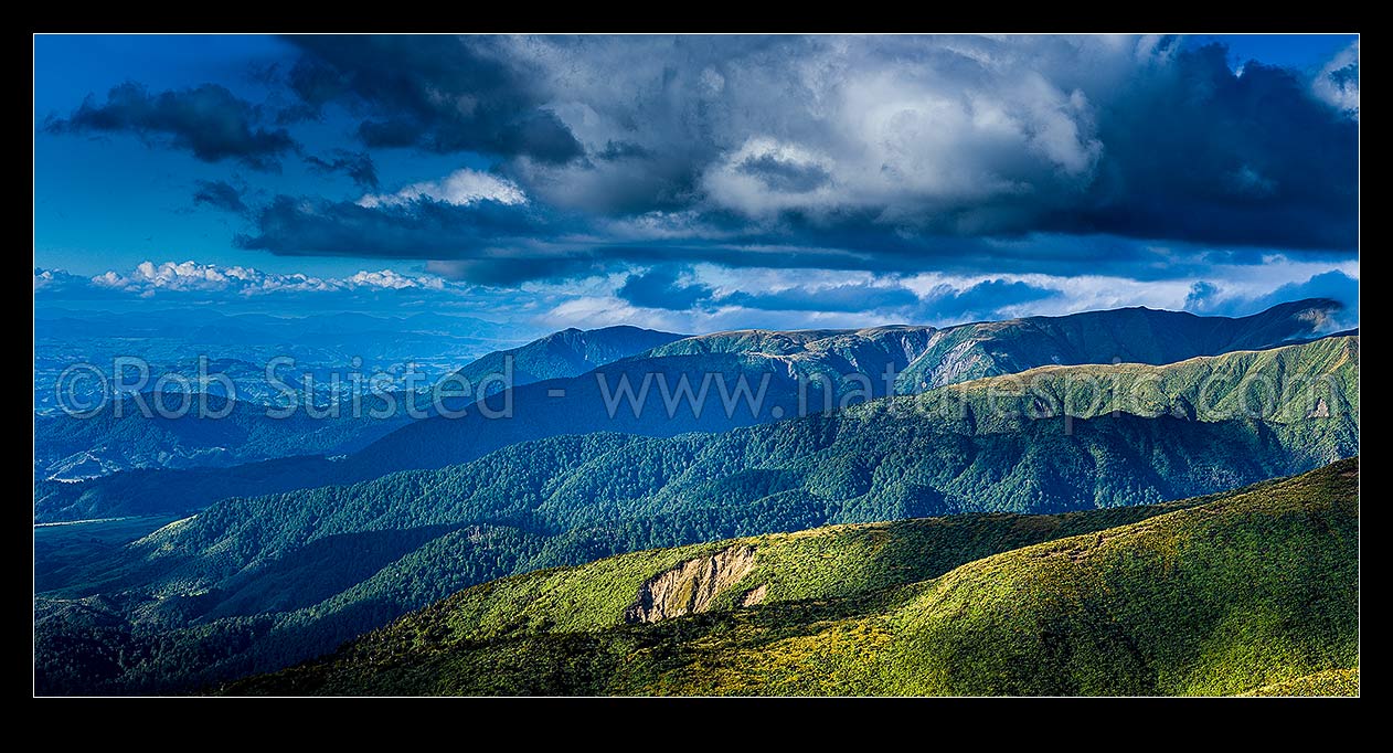 Image of Ruahine Range western ridgelines on the Whanahuia Range, in breaking weather. Hikurangi Range beyond. Alpine tussock tops and leatherwood band. Rangitikei far left. Panorama, Ruahine Forest Park, Manawatu District, Manawatu-Wanganui Region, New Zealand (NZ) stock photo image