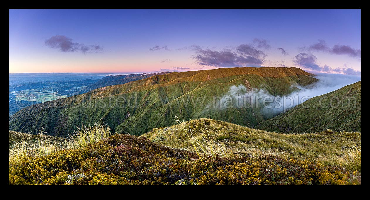 Image of Ruahine Ranges, high on the Whanahuia Range above the Kawhatau River valley (left), as cold air inversion cloud pours through pass in evening (right). Panorama, Ruahine Forest Park, Manawatu District, Manawatu-Wanganui Region, New Zealand (NZ) stock photo image