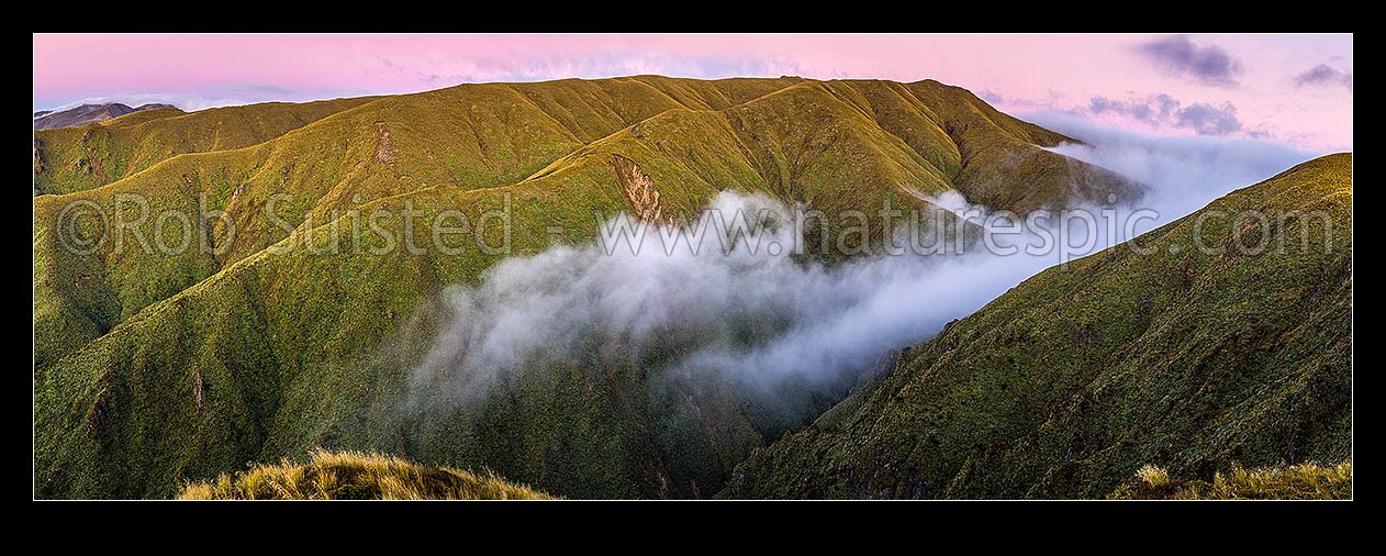 Image of Ruahine Ranges, alpine tussock tops, as cold air inversion cloud pours through the Whanahuia Range saddle at dusk. Western Ranges. Panorama, Ruahine Forest Park, Manawatu District, Manawatu-Wanganui Region, New Zealand (NZ) stock photo image