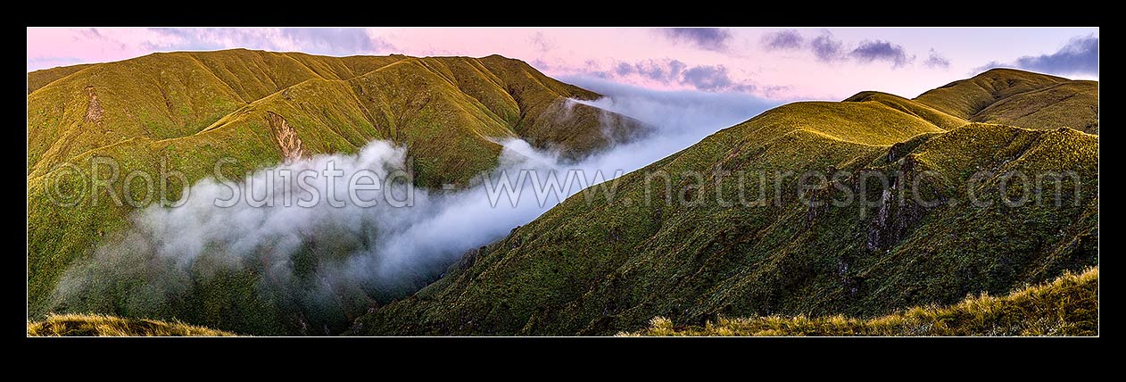 Image of Ruahine Ranges, alpine tops, with cold air inversion cloud pouring through a Whanahuia Range saddle at dusk. Maungamahue centre (1661m). Western Ranges. Panorama, Ruahine Forest Park, Manawatu District, Manawatu-Wanganui Region, New Zealand (NZ) stock photo image