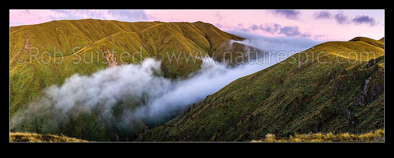 Image of Ruahine Ranges, alpine tops, with cold air inversion cloud pouring through a Whanahuia Range saddle at dusk. Maungamahue centre (1661m). Western Ranges. Panorama, Ruahine Forest Park, Manawatu District, Manawatu-Wanganui Region, New Zealand (NZ) stock photo image