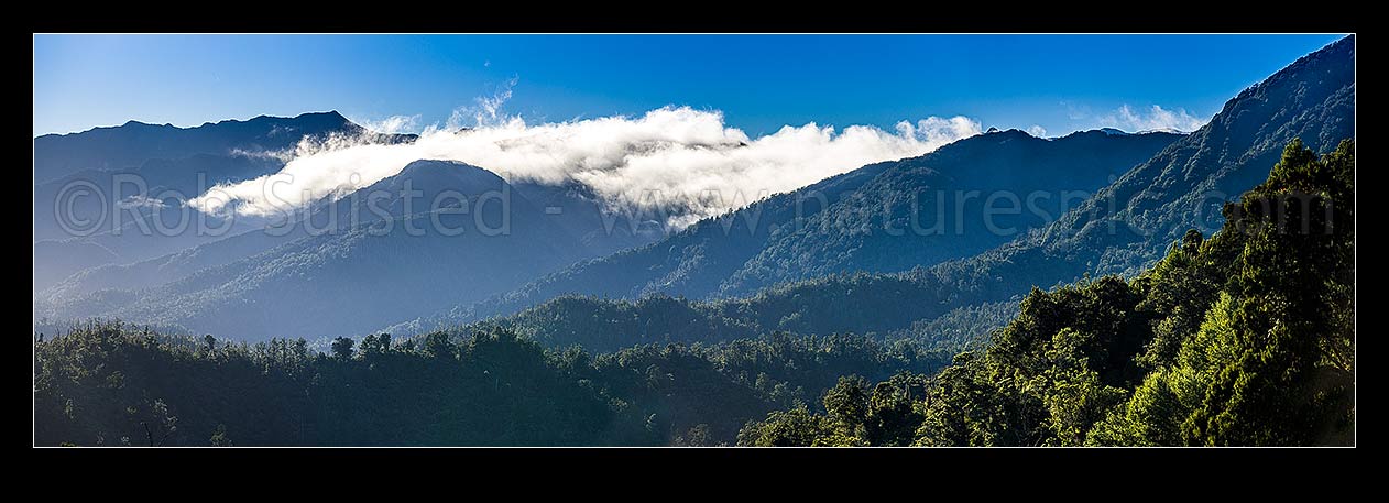 Image of Scarlett and Radiant Ranges above the Little Wanganui River and the Karamea and Mokihinui Forests. Panorama with inversion cloud topping the peaks, Little Wanganui,  Karamea, Buller District, West Coast Region, New Zealand (NZ) stock photo image