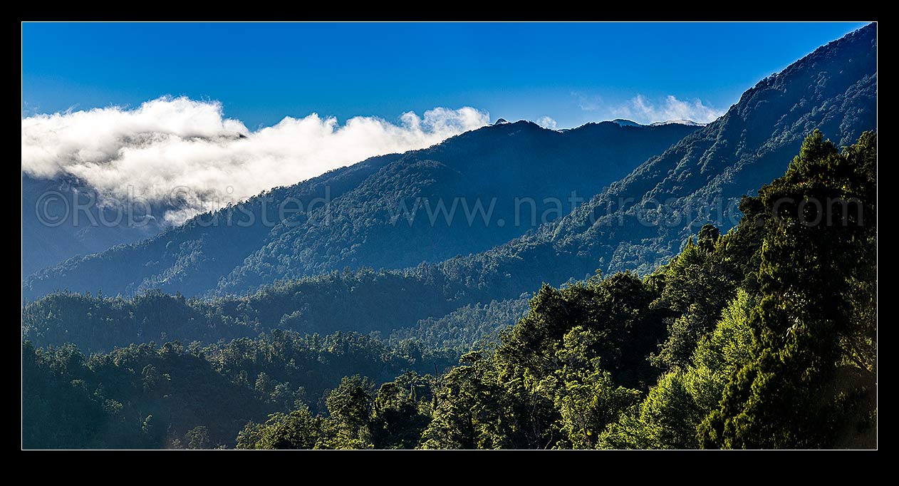 Image of Scarlett and Radiant Ranges above the Little Wanganui River and the Karamea and Mokihinui Forests. Panorama with inversion cloud topping the peaks, Little Wanganui,  Karamea, Buller District, West Coast Region, New Zealand (NZ) stock photo image