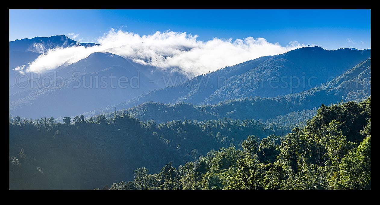 Image of Forested Scarlett and Radiant Ranges above the Little Wanganui River and the Karamea and Mokihinui Forests. Panorama with inversion cloud topping the peaks, Little Wanganui,  Karamea, Buller District, West Coast Region, New Zealand (NZ) stock photo image