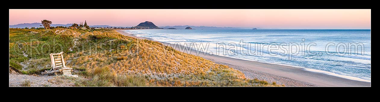 Image of Papamoa Beach dawn panorama amongst the sand dunes, looking west to Mt Maunganui Mauao. Driftwood made recliner chair on dune top, Papamoa Beach, Tauranga District, Bay of Plenty Region, New Zealand (NZ) stock photo image