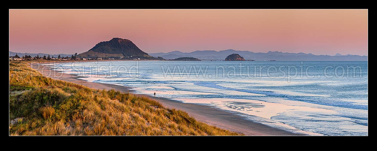 Image of Papamoa Beach at dawn, looking west in morning light towards Mt Maunganui Mauao and Motuotau Island. Panorama, Papamoa Beach, Tauranga District, Bay of Plenty Region, New Zealand (NZ) stock photo image