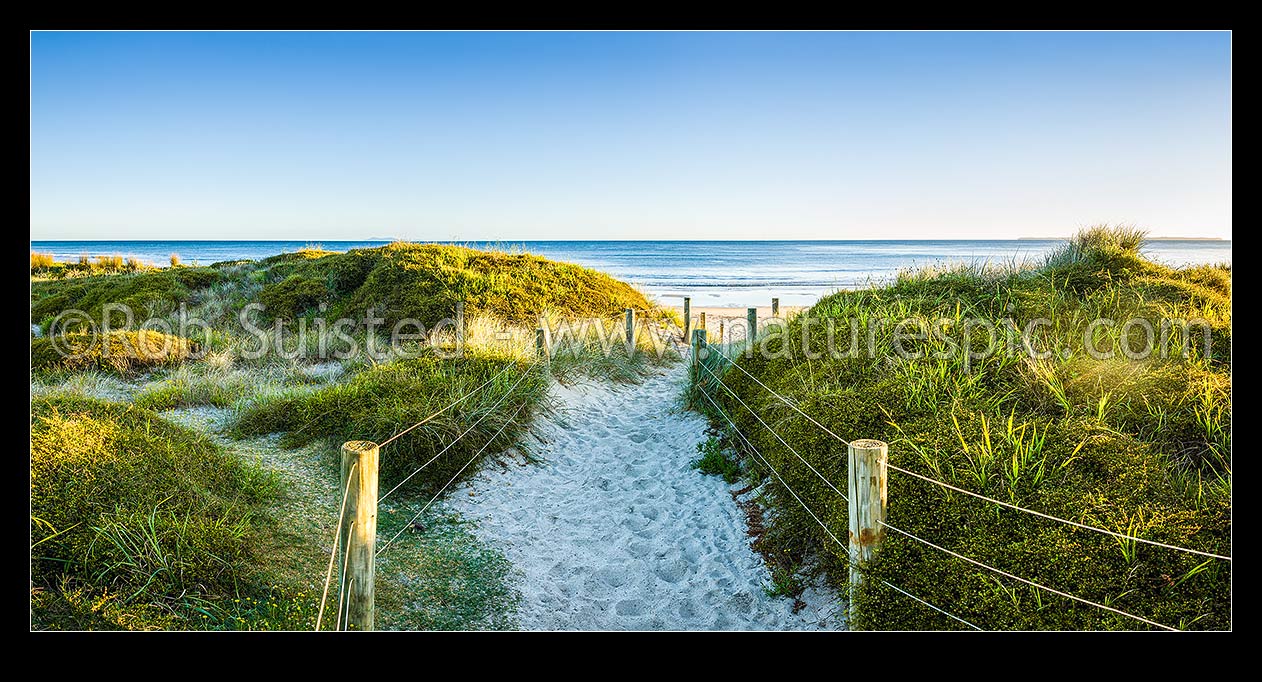 Image of Papamoa Beach at dawn, showing access walking trail through sand dunes, in morning light. Panorama, Papamoa Beach, Tauranga District, Bay of Plenty Region, New Zealand (NZ) stock photo image