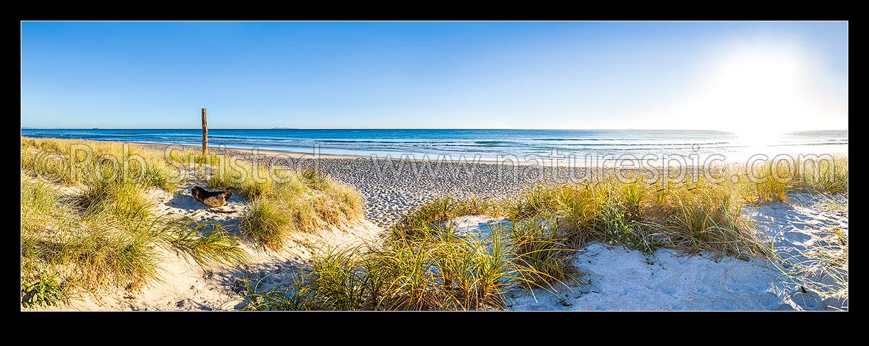 Image of Papamoa Beach and sand dunes in bright sunny morning light. Panorama, Papamoa Beach, Tauranga District, Bay of Plenty Region, New Zealand (NZ) stock photo image