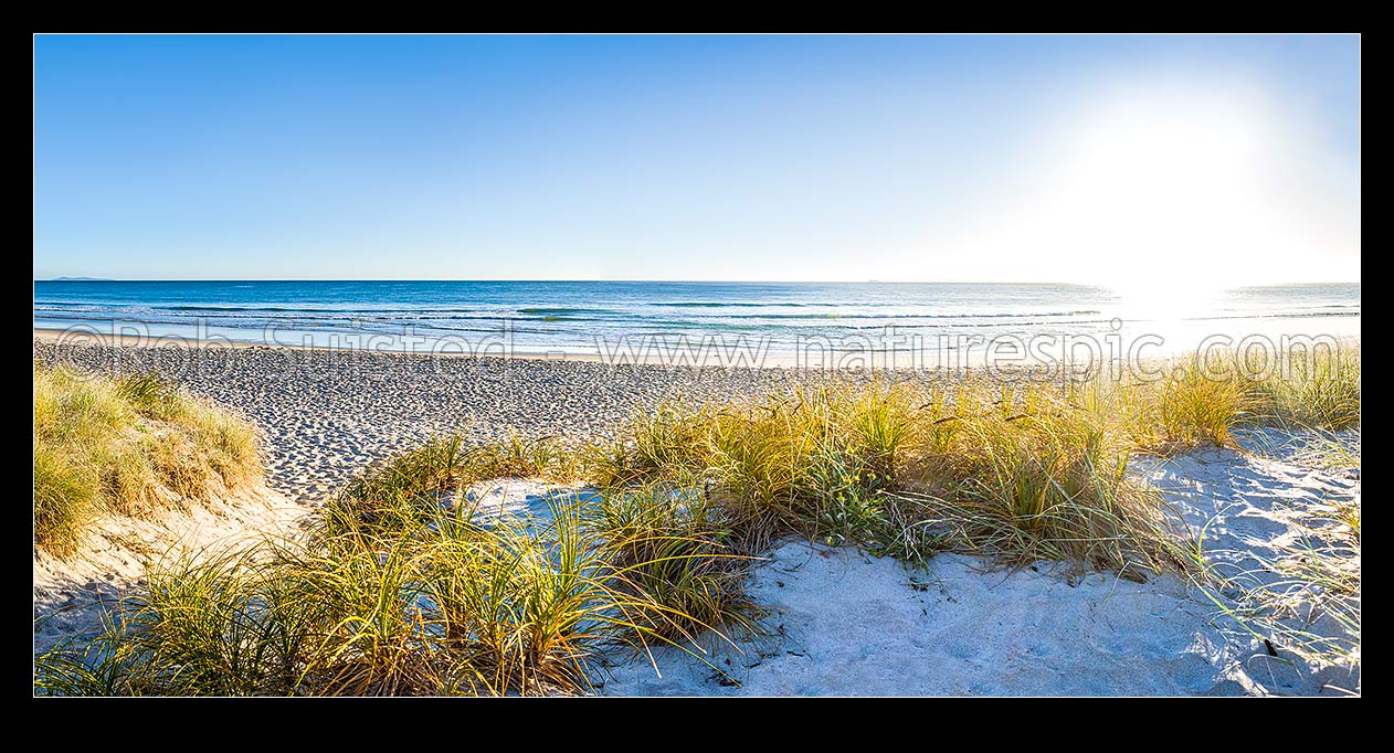 Image of Papamoa Beach and sand dunes in bright sunny morning light. Panorama, Papamoa Beach, Tauranga District, Bay of Plenty Region, New Zealand (NZ) stock photo image